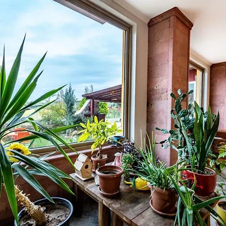 Hotel Helen Troya 4*