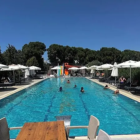 Helen Troya 4*