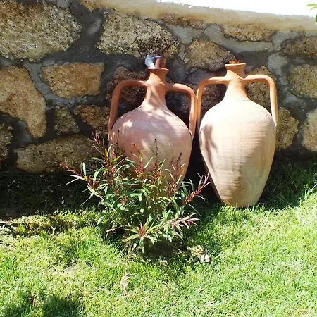 Helen Troya Geyikli Canakkale