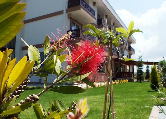 Helen Troya Geyikli Canakkale